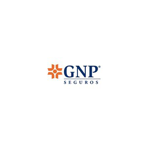 Grupo Nacional Provincial (GNP)